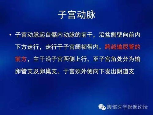 女性生殖系統(tǒng)CT診斷基礎與技術(shù)研發(fā)前沿（上篇）