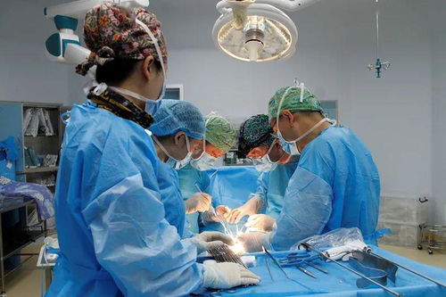 云南省腫瘤醫(yī)院 昆明醫(yī)科大學第三附屬醫(yī)院啟動雙休日診療服務，并深化診斷技術(shù)研發(fā)